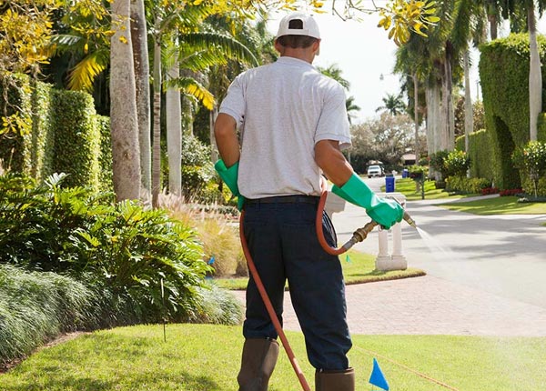About Syracuse UT Pest Control